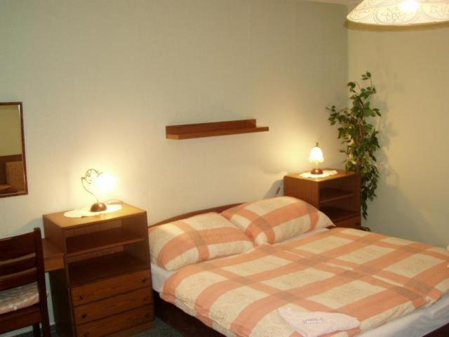 Pension Sparta Prague Room photo